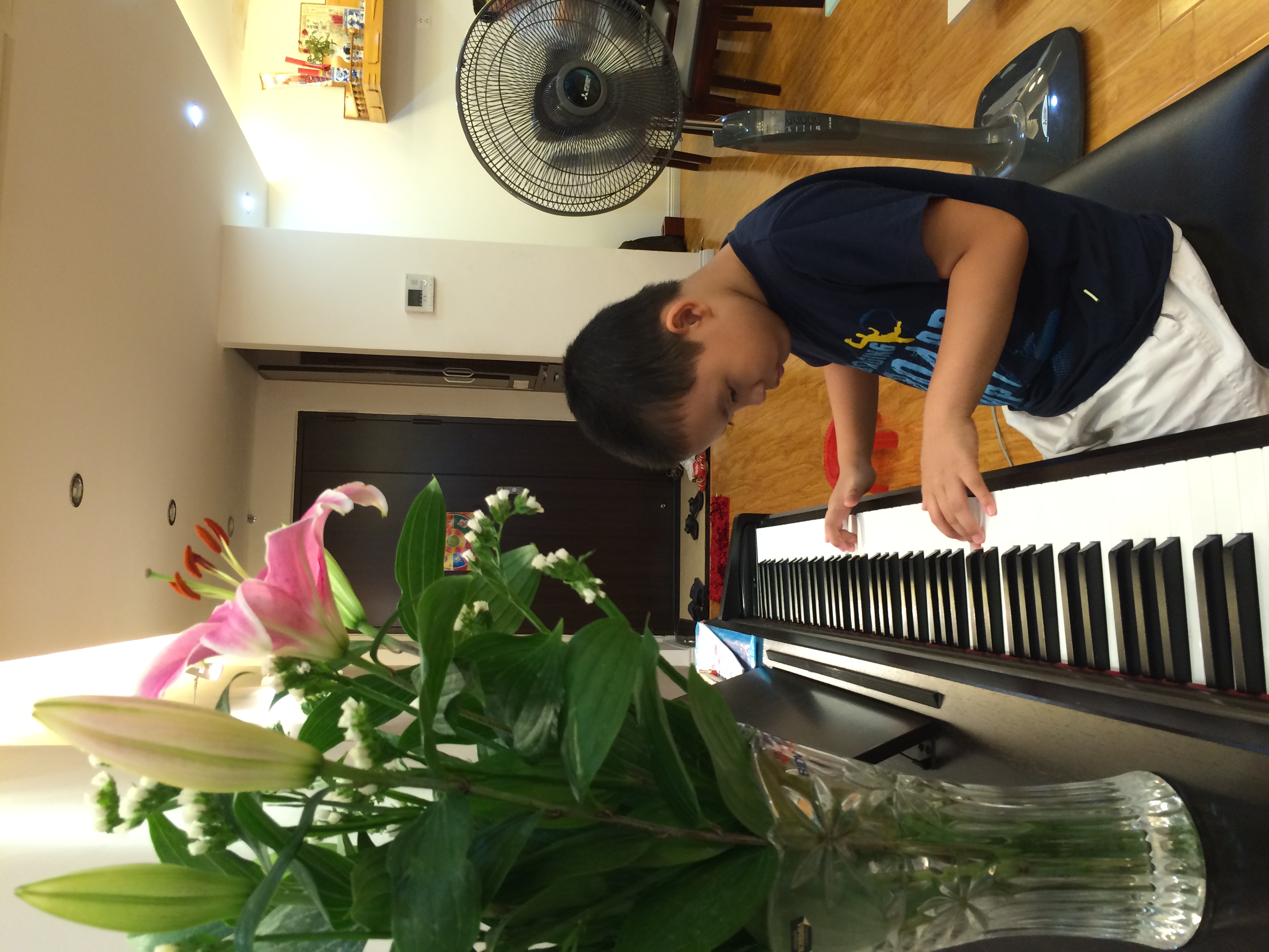 Piano Practising
